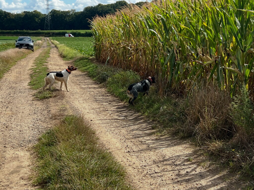 c5f9b029 7be8 4e6a a84d f0076a18f8f5