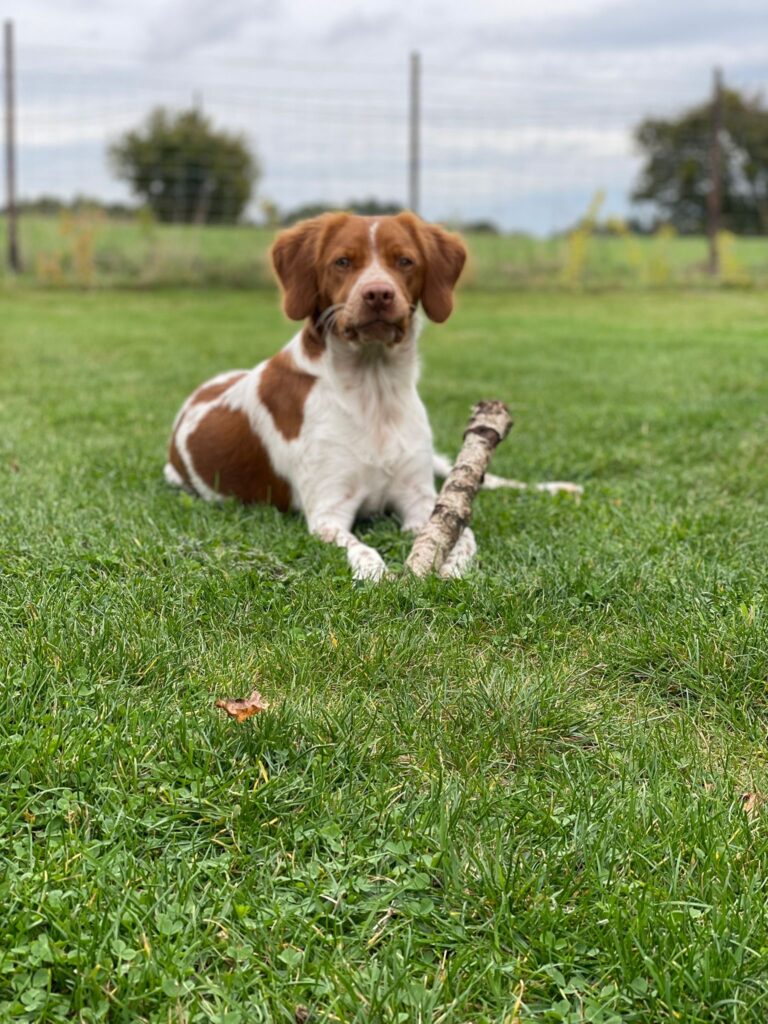 f6ef235c e6a4 4a14 80ca 9fcfb2783f08