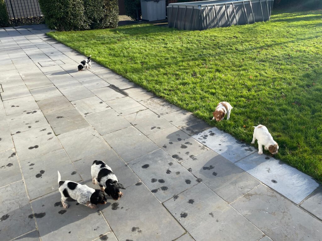 fcf0553d d85a 49f9 9822 c2bfc52a820a